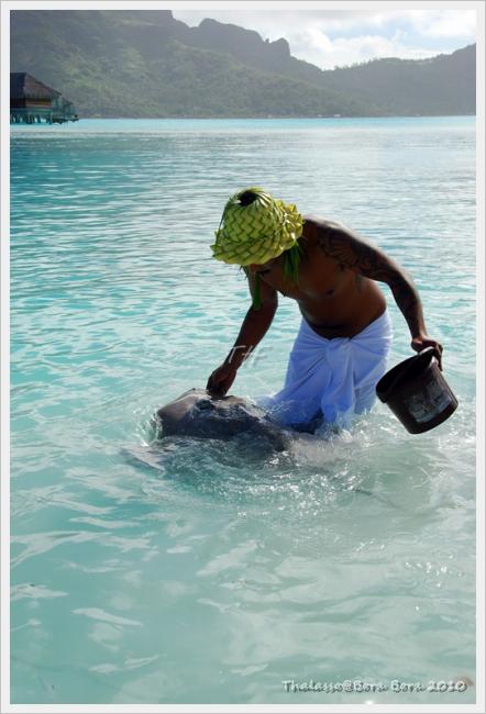 Thalasso111.JPG